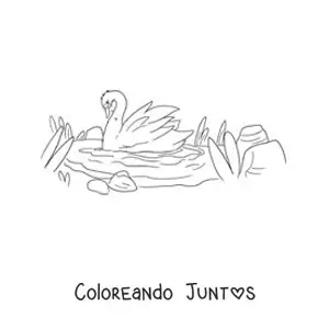 Imagen para colorear de el Patito Feo convertido en un hermoso cisne