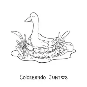 Imagen para colorear de la mamá del Patito Feo empollando sus huevos