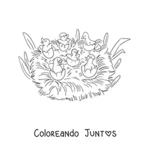 Imagen para colorear de el Patito Feo y sus hermanos rompiendo el cascarón