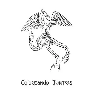 Imagen para colorear de un fénix