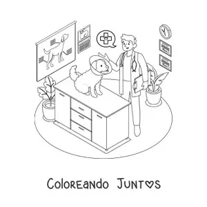 Imagen para colorear de un perro y un veterinario en la clínica