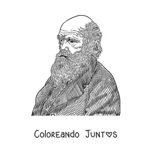 Retrato a lápiz de Charles Darwin