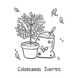 Una planta en su maceta junto a un saco de tierra