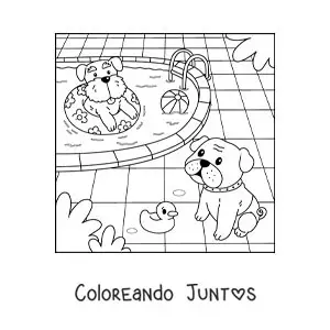 Imagen para colorear de perros animados en una piscina