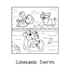 Imagen para colorear de perros animados en una fiesta en la piscina
