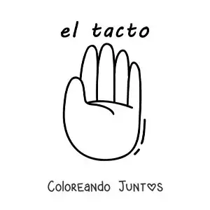 Ficha educativa del sentido del tacto