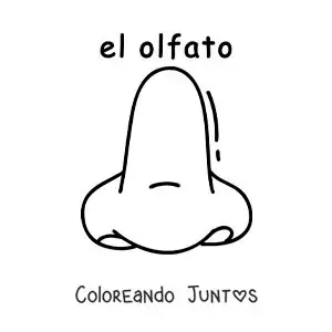 Ficha educativa del sentido del olfato