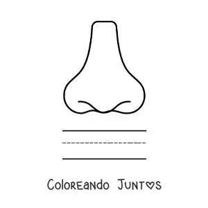 Imagen para colorear de actividad educativa para niños del sentido del olfato