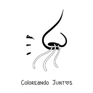 Imagen para colorear de una nariz oliendo