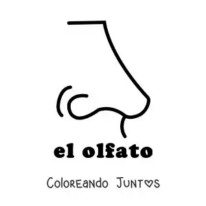 Imagen para colorear de la nariz como símbolo del sentido del olfato