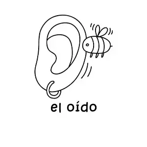 Imagen para colorear de una abeja zumbando frente a una oreja