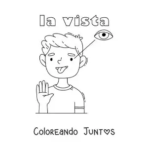 Imagen para colorear de el sentido de la vista en el cuerpo humano