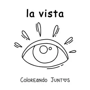 Imagen para colorear de ficha educativa del sentido de la vista