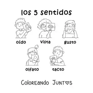 Imagen para colorear de niños animados con los 5 sentidos