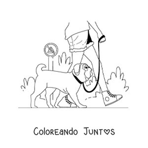 Imagen para colorear de una chica paseando a su perro por el parque