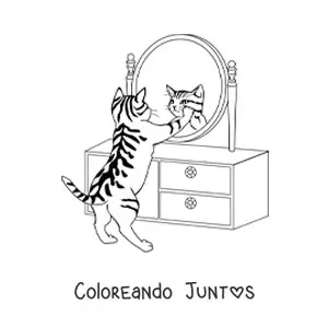Imagen para colorear de un gato viéndose en el espejo de un tocador