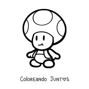 Paper Toad