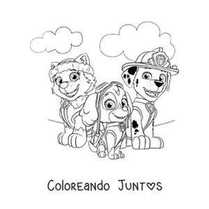 Imagen para colorear de Everest Skye y Marshall de Paw Patrol