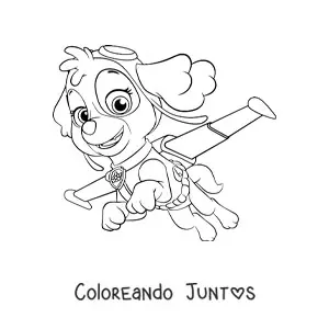 Skye volando