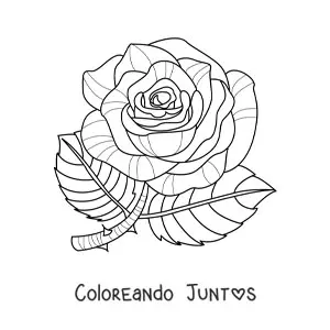 Imagen para colorear de una rosa grande con hojas y espinas