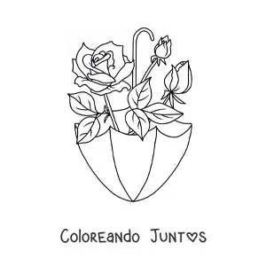 Capullos de rosas en una sombrilla