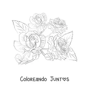 Imagen para colorear de cuatro rosas lindas realistas con hojas