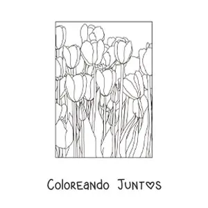 Sembradío de tulipanes
