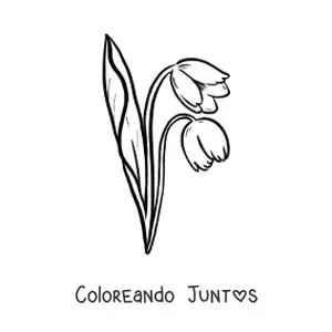 Par de tulipanes con hojas