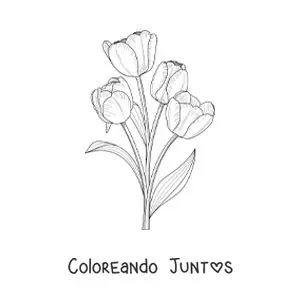 Imagen para colorear de cuatro tulipanes realistas