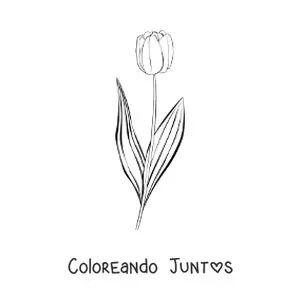 Imagen para colorear de un tulipán pequeño con hojas