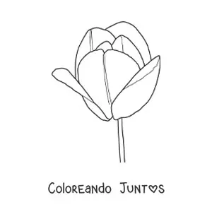Imagen para colorear de un tulipán grande
