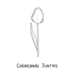 Imagen para colorear de un tulipán