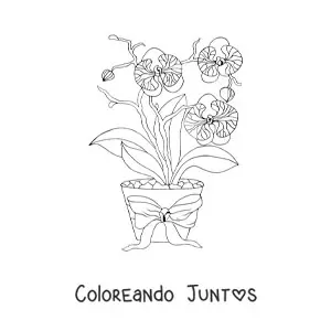 Imagen para colorear de tres orquídeas phalaenopsis en una maceta