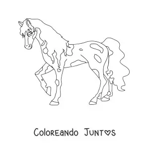 Caballo con manchas