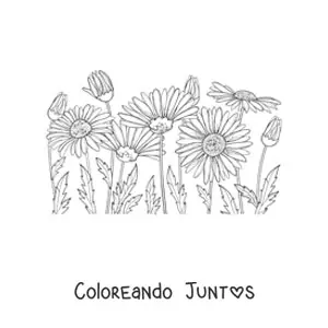 Imagen para colorear de un campo de margaritas
