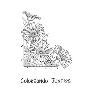 Imagen para colorear de cuatro hermosas margaritas
