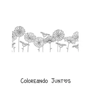 Imagen para colorear de un campo lleno de margaritas