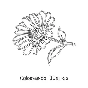 Imagen para colorear de una margarita