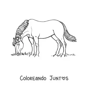 Caballo pastando