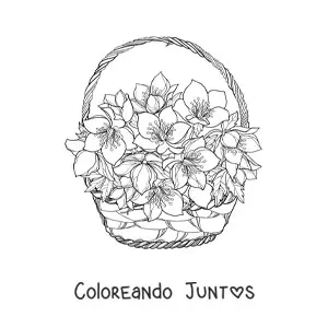 Cesta de lirios