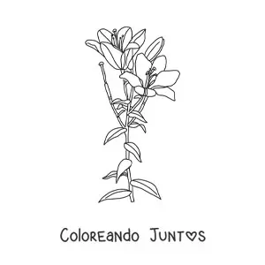 Imagen para colorear de dos lirios con hojas