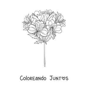 Imagen para colorear de un ramo de lirios realistas