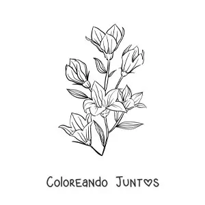 Imagen para colorear de varios lirios con hojas