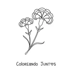 Imagen para colorear de dos claveles hermosos