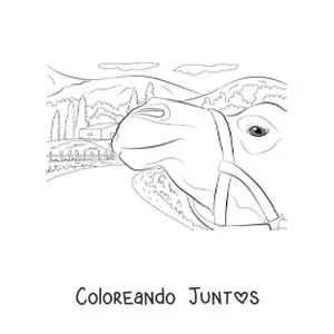 Imagen para colorear de un camello con una casa en el fondo