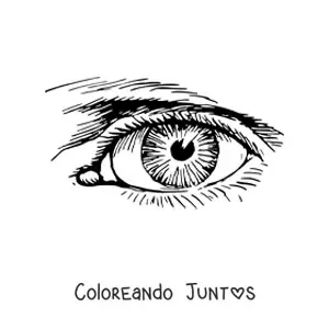 Imagen para colorear de un ojo realista