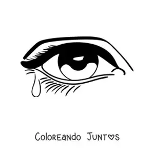 Ojo lloroso