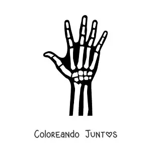Imagen para colorear de una radiografía de la mano derecha