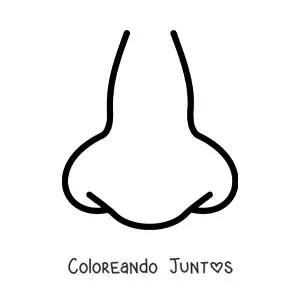 Imagen para colorear de una nariz de frente