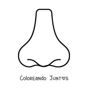 Imagen para colorear de una nariz sencilla